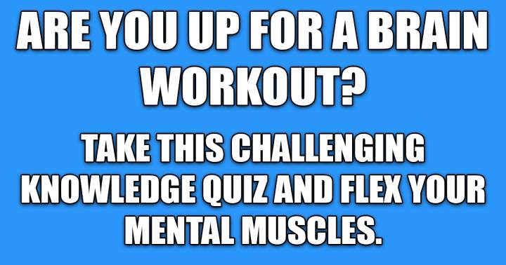 Brain Workout