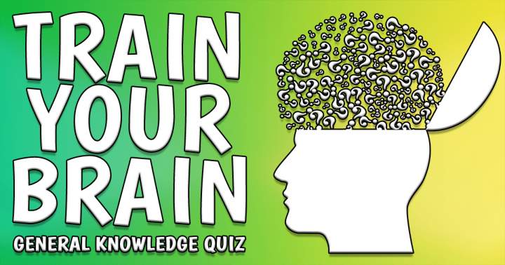Banner for Train Your Brain