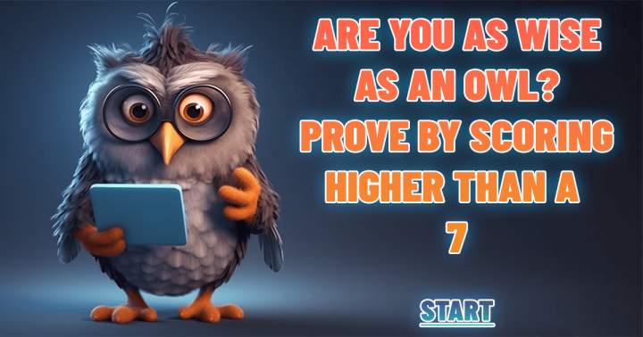 Banner for Are you as wise as an owl?