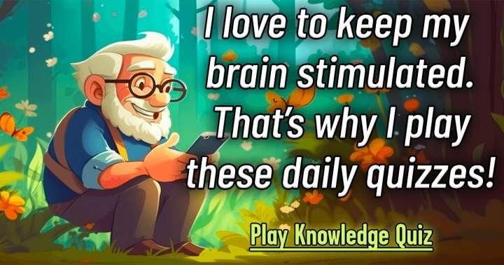 Banner for Daily Quiz Freshness