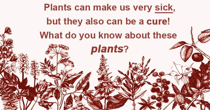 Plants have the power to both harm and heal us! Are you familiar with these types of plants?