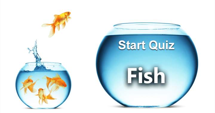 Banner for Attempt these 10 tough questions about fish by taking the quiz.