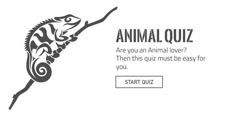 Do you truly adore animals? Try your hand at this challenging yet enjoyable quiz.