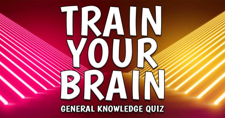 Train Your Brain