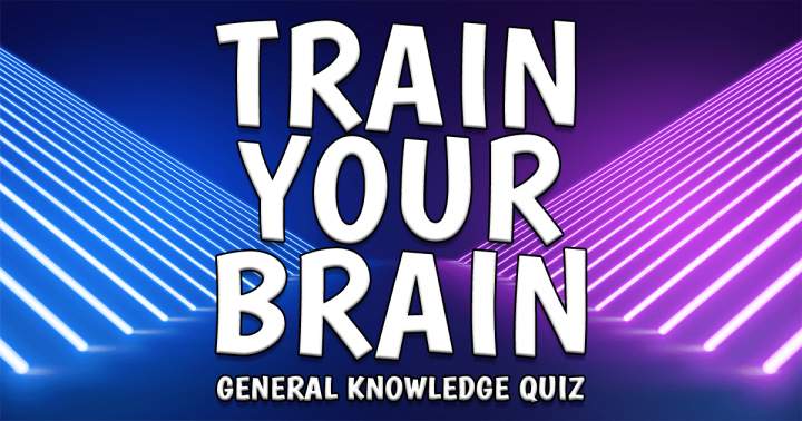 Train Your Brain