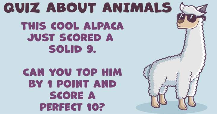 Quiz about Animals