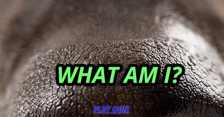 Who or what am I?
